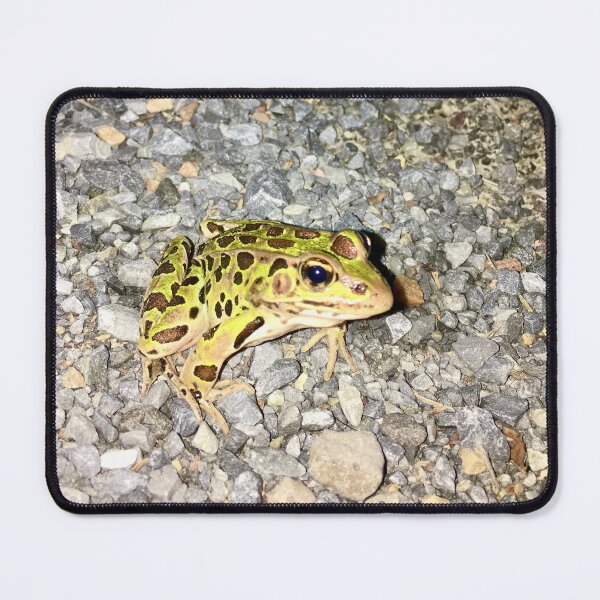 Item preview, Frog Rocks designed and sold by turddemon.