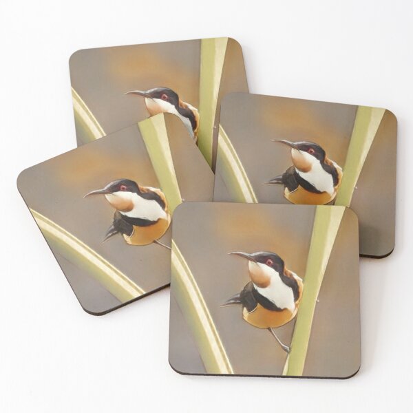 Item preview, Eastern Spinebill  designed and sold by LittleblueBz.