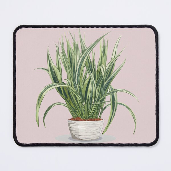 Item preview, Snake plant designed and sold by MidgardWonders.
