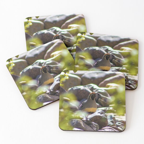 Item preview, Gambel's Quail designed and sold by Hyrose.