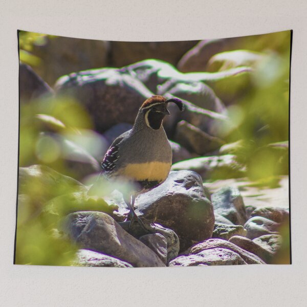 Item preview, Gambel's Quail designed and sold by Hyrose.