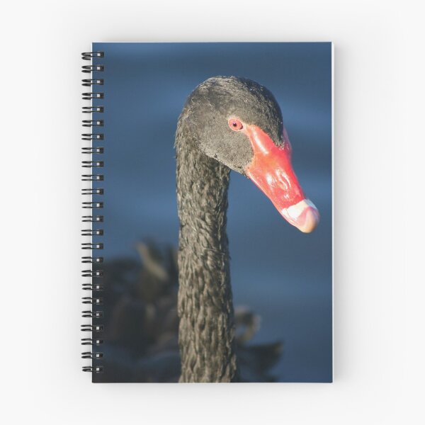 Item preview, Black Swan designed and sold by klphotographics.