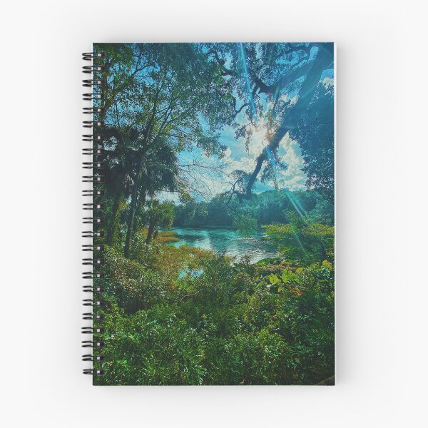 Item preview, Pitstop at Rainbow Springs. designed and sold by VesselObserver.
