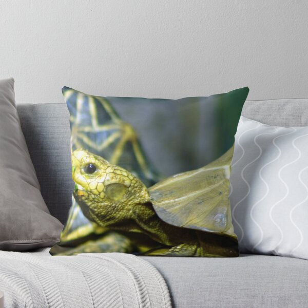 Item preview, Star Tortoise designed and sold by klphotographics.