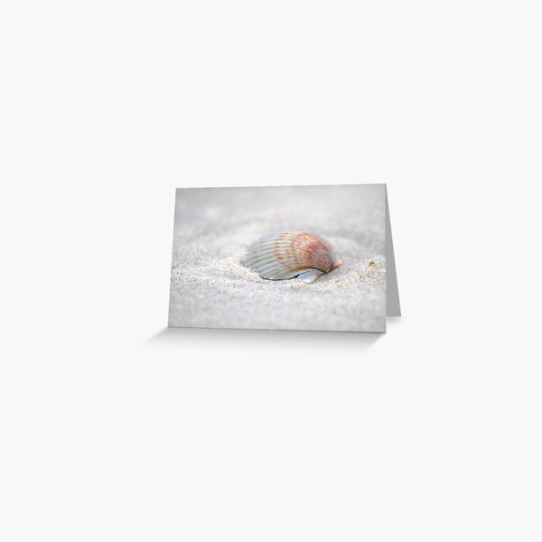 i got another seashell for you Greeting Card
