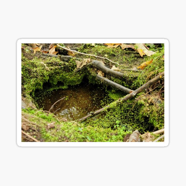 Tiny Tree Stump Pond Sticker