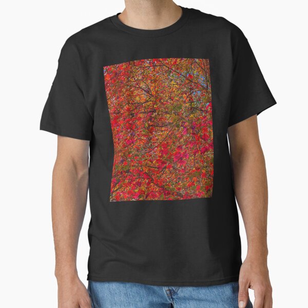 Painting w/ Fall Leaves. Classic T-Shirt