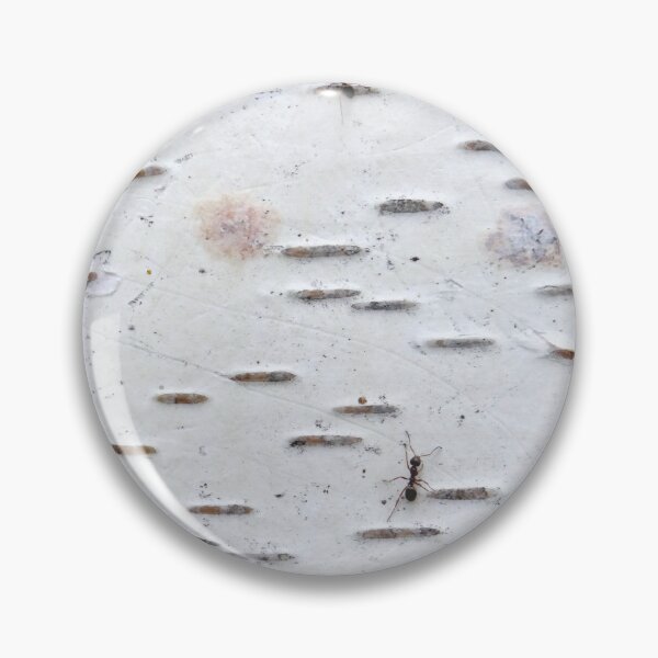 Item preview, Close-Up Birch Tree Trunk with Ants designed and sold by BackgroundPixel.