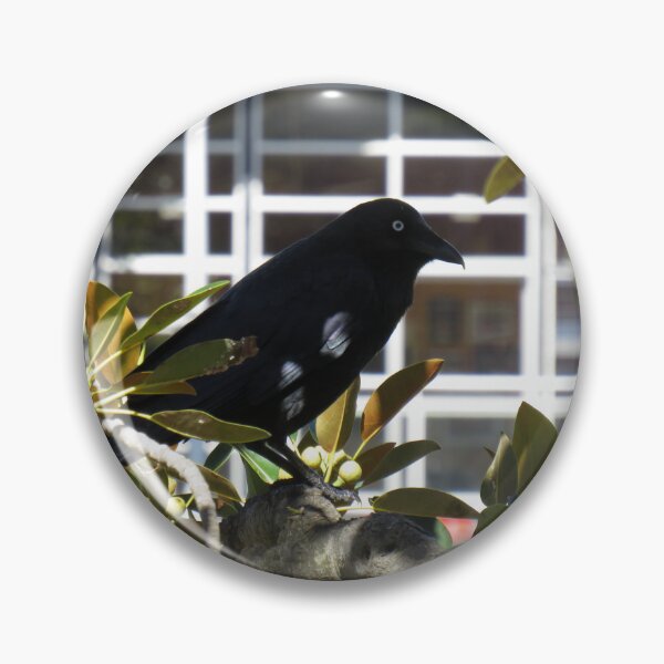Item preview, Raven in a fig tree designed and sold by greentiger1.