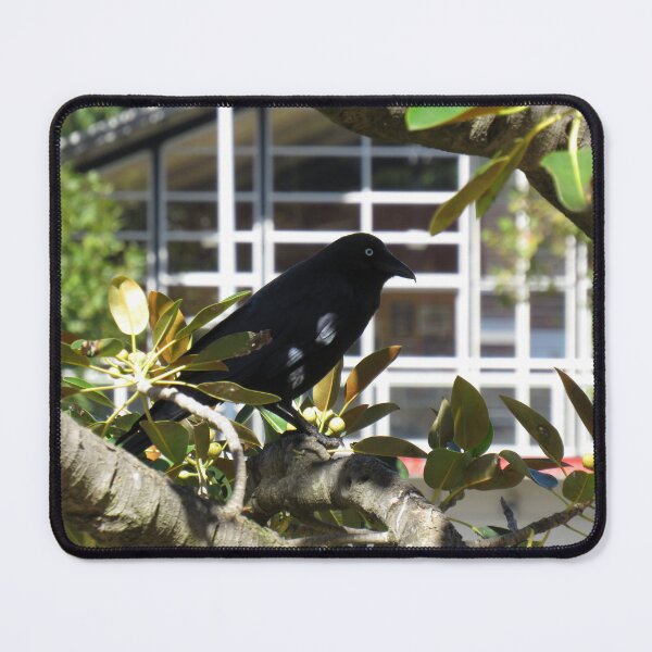 Item preview, Raven in a fig tree designed and sold by greentiger1.
