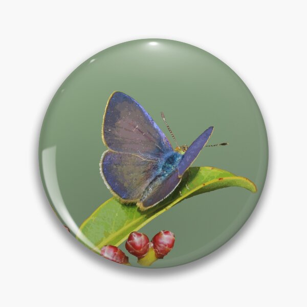 Item preview, Koa Butterfly or Blackburn's Blue designed and sold by NJartbyNJacobson.