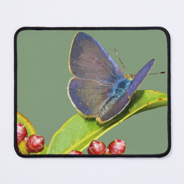 Item preview, Koa Butterfly or Blackburn's Blue designed and sold by NJartbyNJacobson.