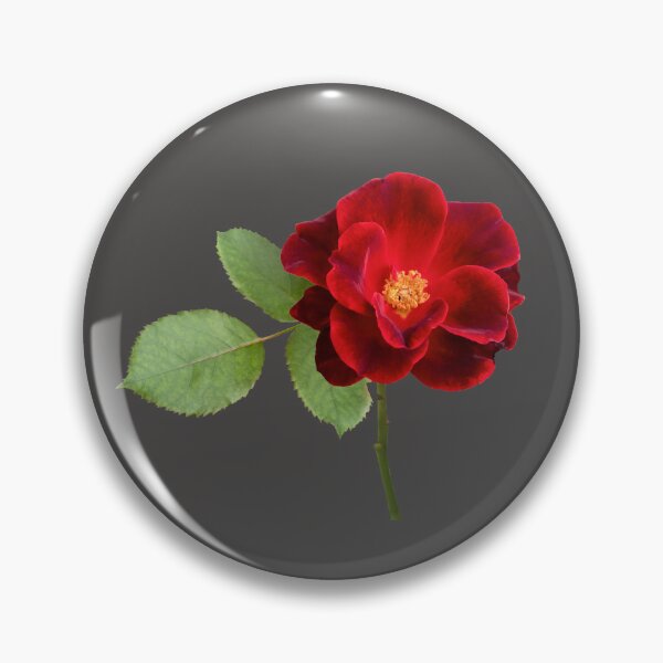 Item preview, Red rose flower stem designed and sold by KRFNatureGifts.