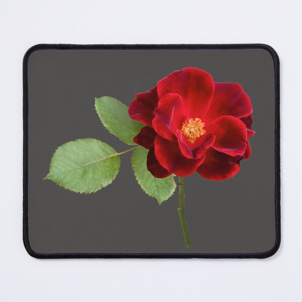 Item preview, Red rose flower stem designed and sold by KRFNatureGifts.