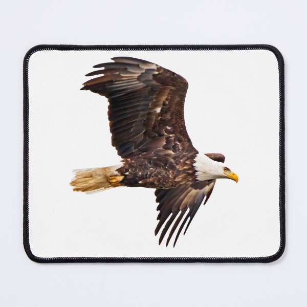 Item preview, Bald eagle flying designed and sold by KRFNatureGifts.