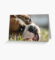 Num Num Num Num Greeting Card