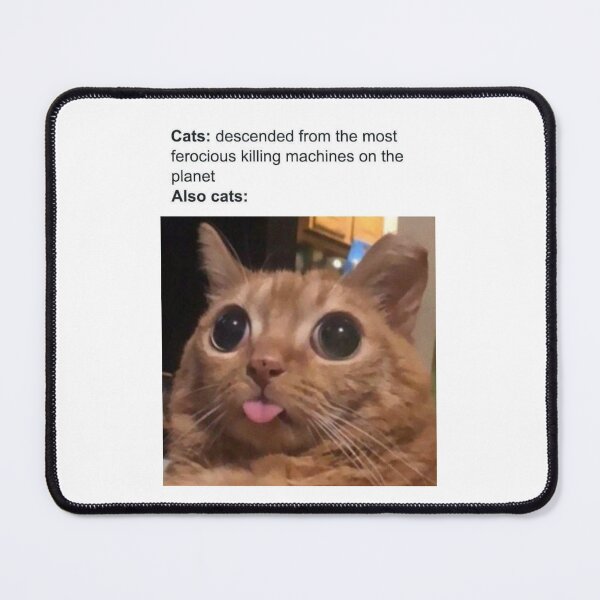 Item preview, Cats be like meme designed and sold by Thehuskysshop.
