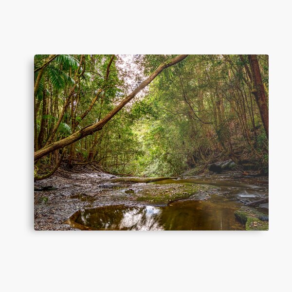 Item preview, Watagans National Park, NSW, Australia designed and sold by rossacampbell.