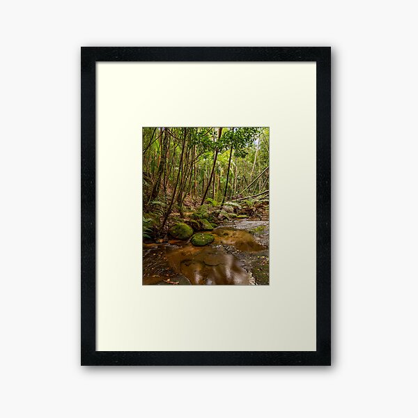 Item preview, Watagans National Park, NSW, Australia designed and sold by rossacampbell.