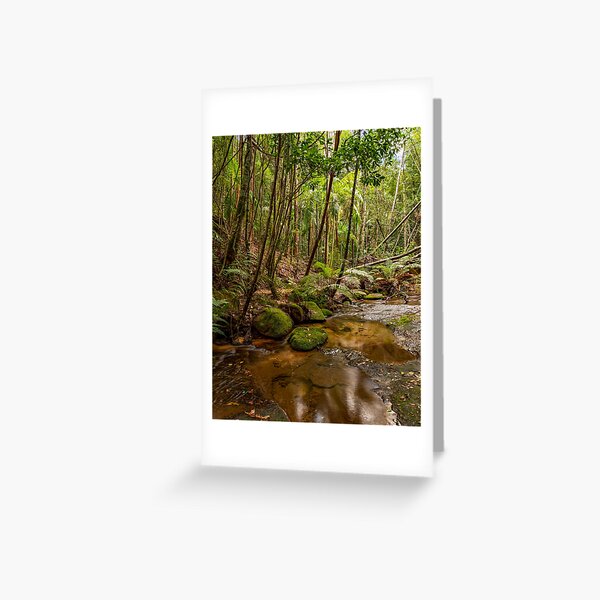 Item preview, Watagans National Park, NSW, Australia designed and sold by rossacampbell.