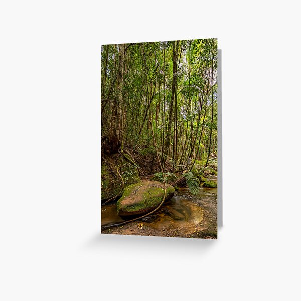 Item preview, Watagans National Park, NSW, Australia designed and sold by rossacampbell.