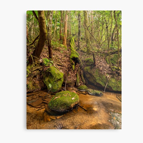 Item preview, Watagans National Park, NSW, Australia designed and sold by rossacampbell.