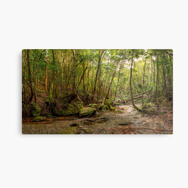 Item preview, Watagans National Park, NSW, Australia designed and sold by rossacampbell.