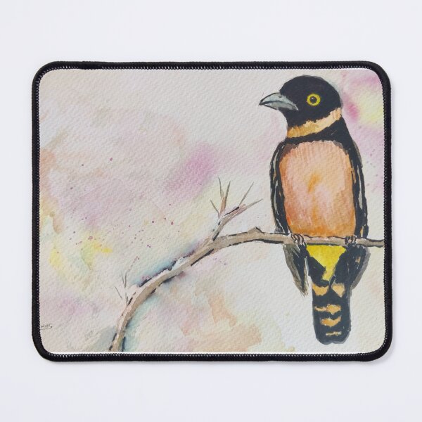 Item preview, Black-and-yellow Broadbill designed and sold by anwar-art.