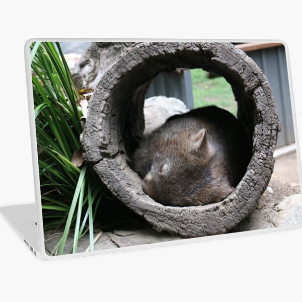 Sleepy Wombat Australia Laptop Skin