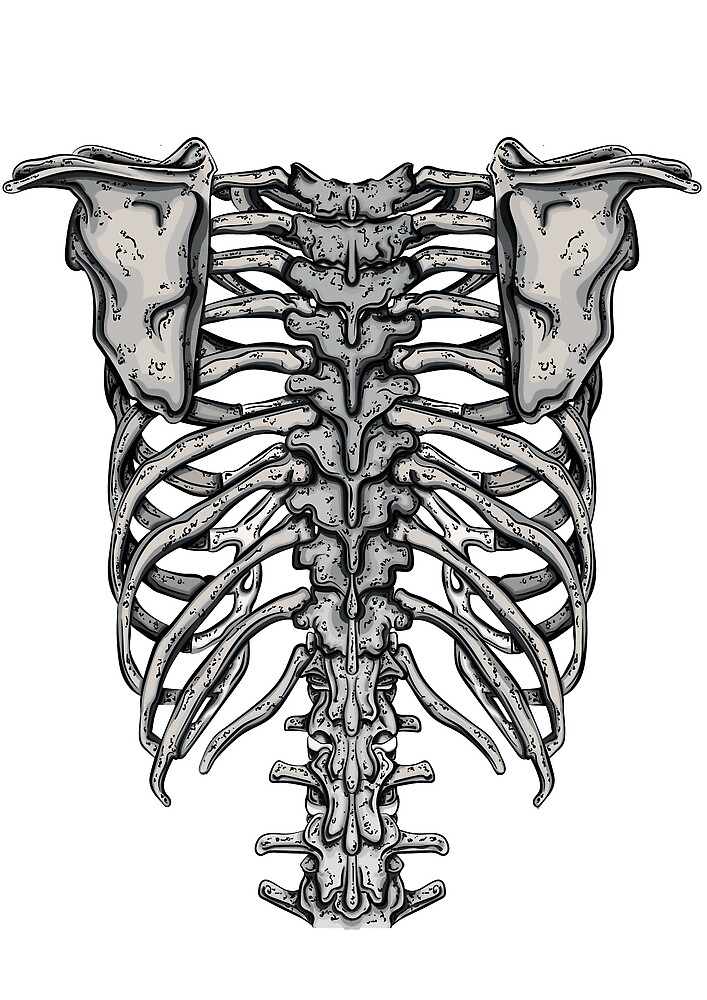 "Back Rib Cage" by Ramblas Design Redbubble