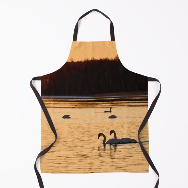 Item preview, Whooper swan sunset view designed and sold by Jouko Lehto Photography.