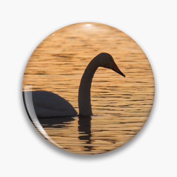 Item preview, Whooper swan sunset designed and sold by Jouko Lehto Photography.