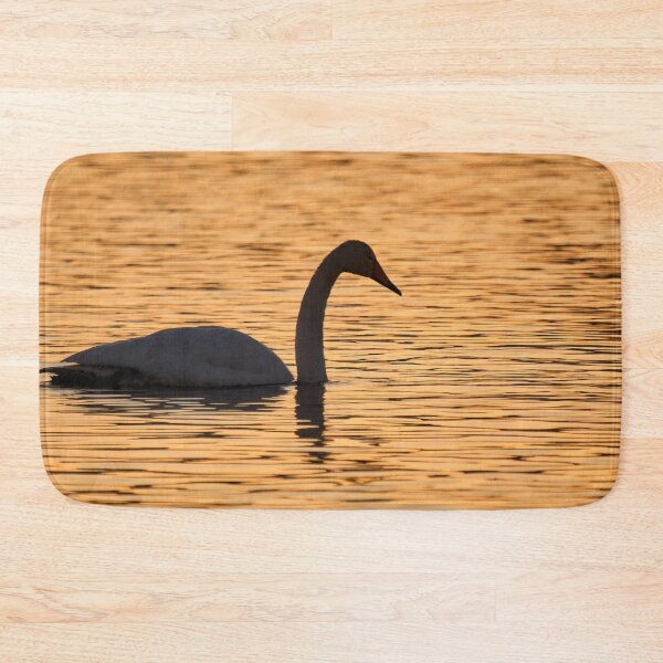 Item preview, Whooper swan sunset designed and sold by Jouko Lehto Photography.