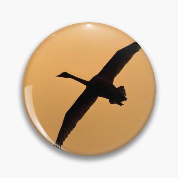 Item preview, Whooper swan evening flight designed and sold by Jouko Lehto Photography.