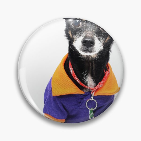 Item preview, Chihuahua dog designed and sold by david-zishu6393.