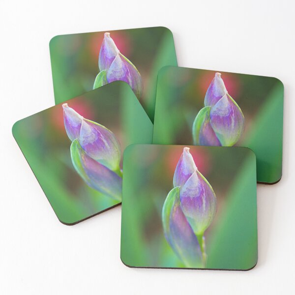 Item preview, Lush Spring Iris Buds designed and sold by Joy Watson - Natural Light Photography .