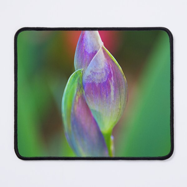 Item preview, Lush Spring Iris Buds designed and sold by Joy Watson - Natural Light Photography .