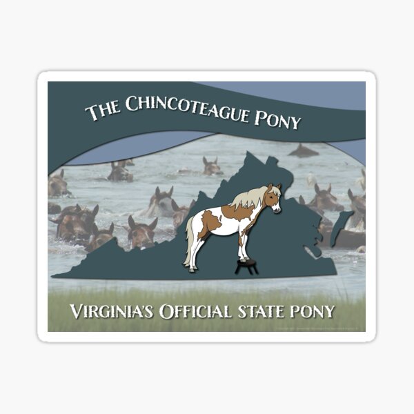 ICPAR- Chincoteague Pony State Pony of Virginia Sticker