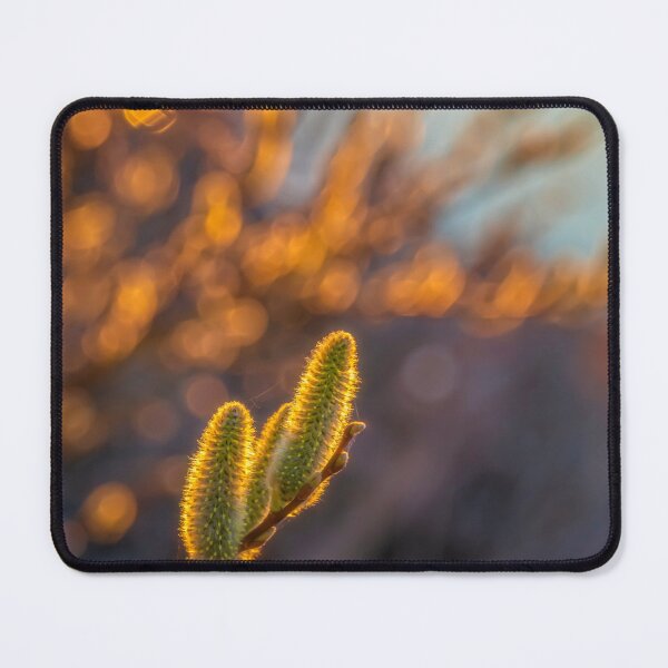 Item preview, Spring 2 designed and sold by Veikko  Suikkanen.