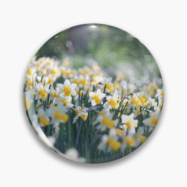 Item preview, Easter Daffodils  designed and sold by Alisonchambers2.