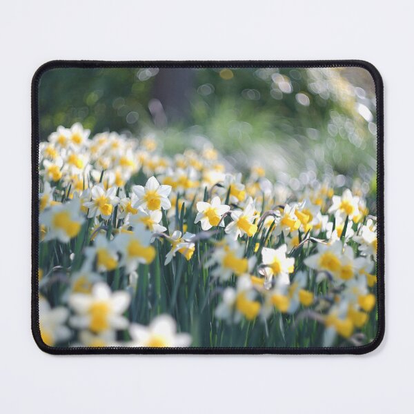 Item preview, Easter Daffodils  designed and sold by Alisonchambers2.