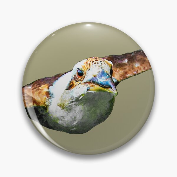 Item preview, Flying Kookaburra designed and sold by Dalyndigital Photography.