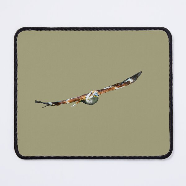 Item preview, Flying Kookaburra designed and sold by Dalyndigital Photography.