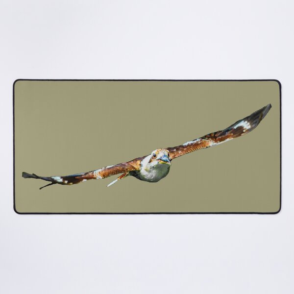 Item preview, Flying Kookaburra designed and sold by Dalyndigital Photography.