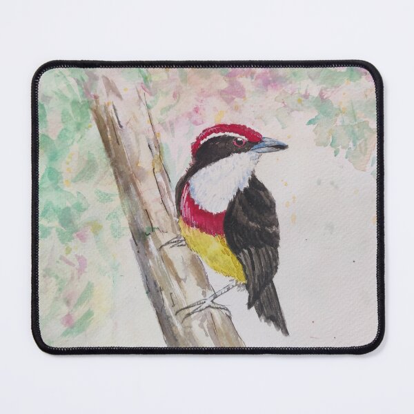 Item preview, Scarlet-banded Barbet designed and sold by anwar-art.