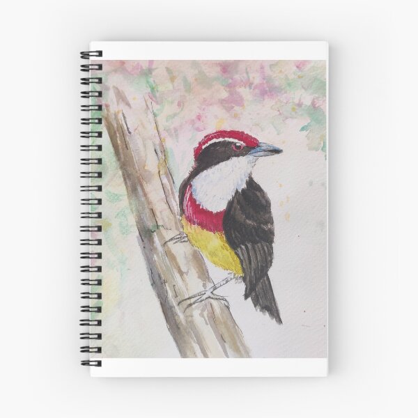 Item preview, Scarlet-banded Barbet designed and sold by anwar-art.