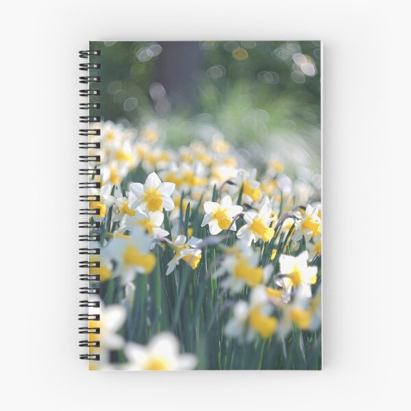 Item preview, Easter Daffodils  designed and sold by Alisonchambers2.