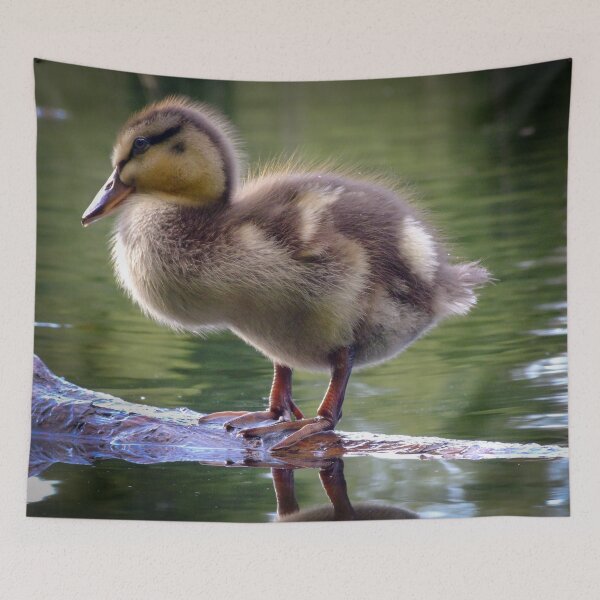 Item preview, Duckling in Chocolate Caramel designed and sold by Catchavista.