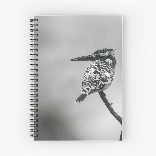 Item preview, Pied kingfisher designed and sold by Puttaswamy Ravishankar.