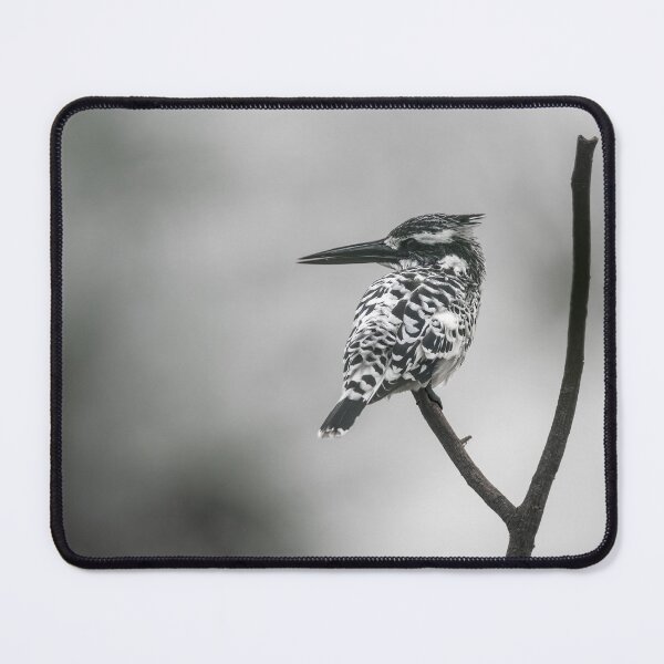 Item preview, Pied kingfisher designed and sold by Puttaswamy Ravishankar.